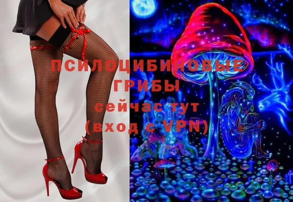 apvp Заволжск